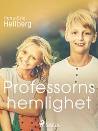 Produktbild: Professorns hemlighet