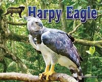 Produktbild: Harpy Eagle