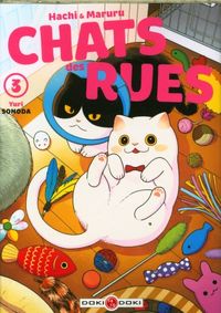Produktbild: Hachi & Maruru : chats des rues. Tome 3