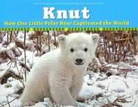 Produktbild: KNUT