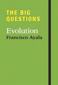 Produktbild: Big Ques Evolution