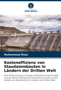 Produktbild: Kosteneffizienz von Staudammbauten in L&auml;ndern der Dritten Welt