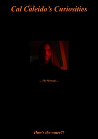 Produktbild: Cal Caleido&rsquo;s Curiosities (Vol. 12) ... The Message ...