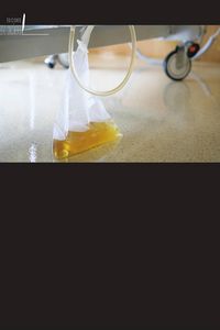 Produktbild: Minimizar la carga microbiana en los cat&eacute;teres urinarios