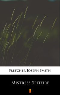 Bild vom Artikel Mistress Spitfire vom Autor Joseph Smith Fletcher