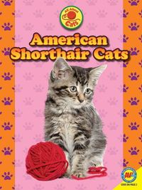 Produktbild: American Shorthair Cats