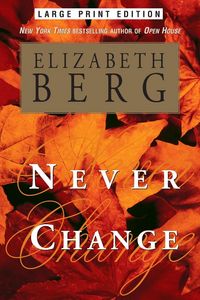 Produktbild: Never Change -Lp