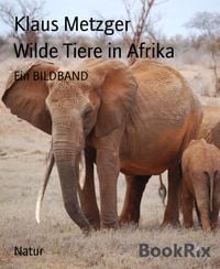 Produktbild: Wilde Tiere in Afrika