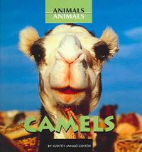 Produktbild: Camels
