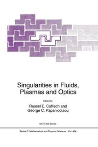 Produktbild: Singularities in Fluids, Plasmas and Optics