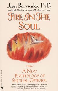 Produktbild: Fire in the Soul