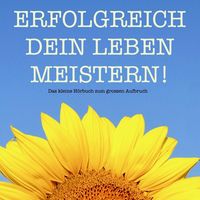Produktbild: Erfolgreich dein Leben meistern! Das kleine Hörbuch für mehr Erfolg
