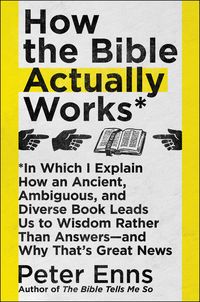 Produktbild: How the Bible Actually Works