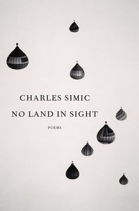 Produktbild: No Land in Sight