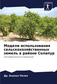 Produktbild: Modeli ispol'zowaniq sel'skohozqjstwennyh zemel' w rajone Solapur