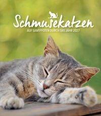 Produktbild: Diary Schmusekatzen 2027