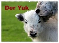 Produktbild: Der Yak (Wandkalender 2027 DIN A2 quer), CALVENDO Monatskalender