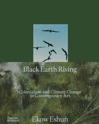 Produktbild: Black Earth Rising