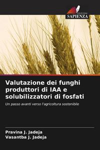 Produktbild: Valutazione dei funghi produttori di IAA e solubilizzatori di fosfati