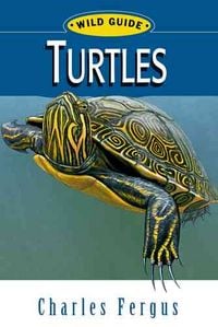 Produktbild: Turtles