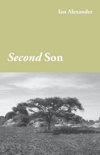 Produktbild: Second Son