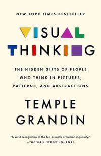 Produktbild: Visual Thinking