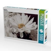 Produktbild: CALVENDO Puzzle Magerite | 1000 Teile Lege-Gr&ouml;&szlig;e 64x48cm Foto-Puzzle f&uuml;r gl&uuml;ckliche Stunden