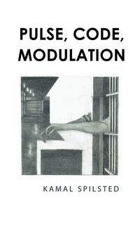 Produktbild: Pulse, Code, Modulation