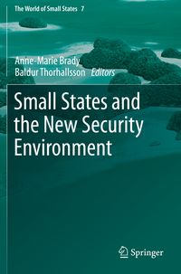 Produktbild: Small States and the New Security Environment