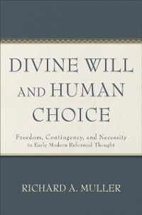Produktbild: Divine Will and Human Choice