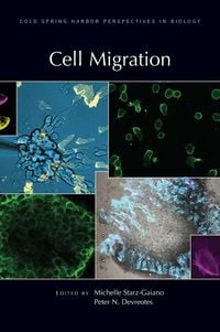 Produktbild: Cell Migration