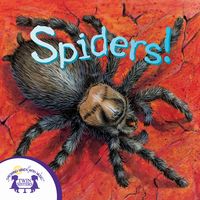 Produktbild: Know-It-Alls! Spiders