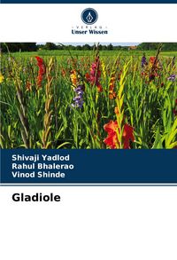 Produktbild: Gladiole