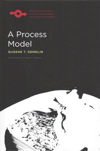 Produktbild: Process Model