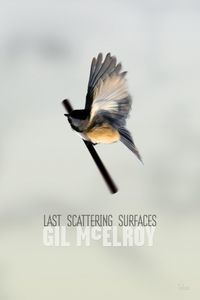 Produktbild: Last Scattering Surfaces