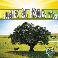 Produktbild: Nuestro sol produce vida