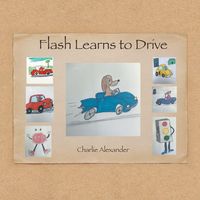 Produktbild: Flash Learns to Drive