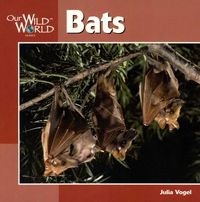 Produktbild: Bats