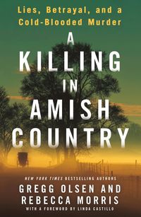 Produktbild: A Killing in Amish Country