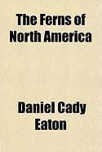Produktbild: The Ferns of North America