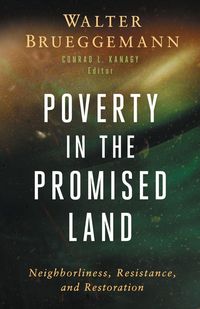 Produktbild: Poverty in the Promised Land