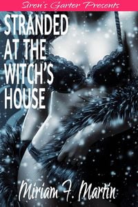 Produktbild: Stranded at the Witch's House