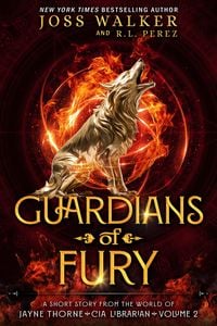 Produktbild: Guardians of Fury (The Guardians, #2)
