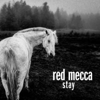 Bild vom Artikel Stay (Clear Vinyl) vom Autor Red Mecca