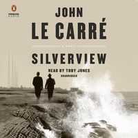Produktbild: SILVERVIEW D
