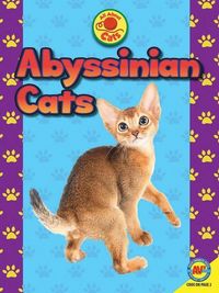 Produktbild: Abyssinian Cats