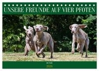 Produktbild: Unsere Freunde auf vier Pfoten - Hunde (Tischkalender 2026 DIN A5 quer), CALVENDO Monatskalender