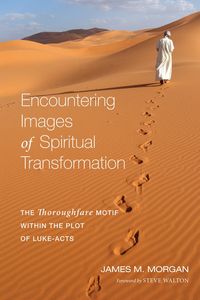 Produktbild: Encountering Images of Spiritual Transformation