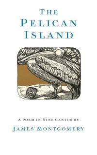 Produktbild: The Pelican Island (Illustrated Edition)