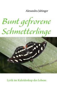 Produktbild: Bunt gefrorene Schmetterlinge
